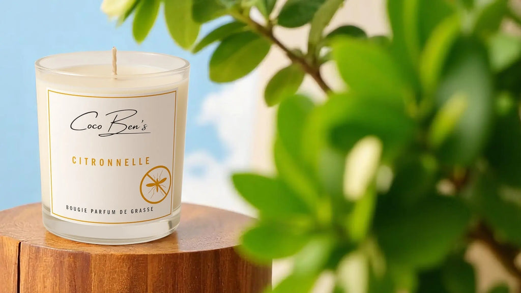 Bougies d’extérieur CocoBen’s à la citronnelle : efficaces pour chasser les moustiques, parfum naturel et frais, idéales pour jardins, terrasses et soirées en plein air.