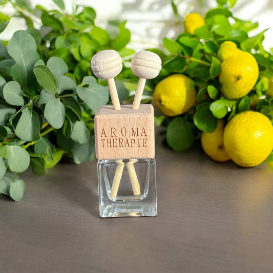 Petit Diffuseur d'Huiles Essentielles "Séduisant"