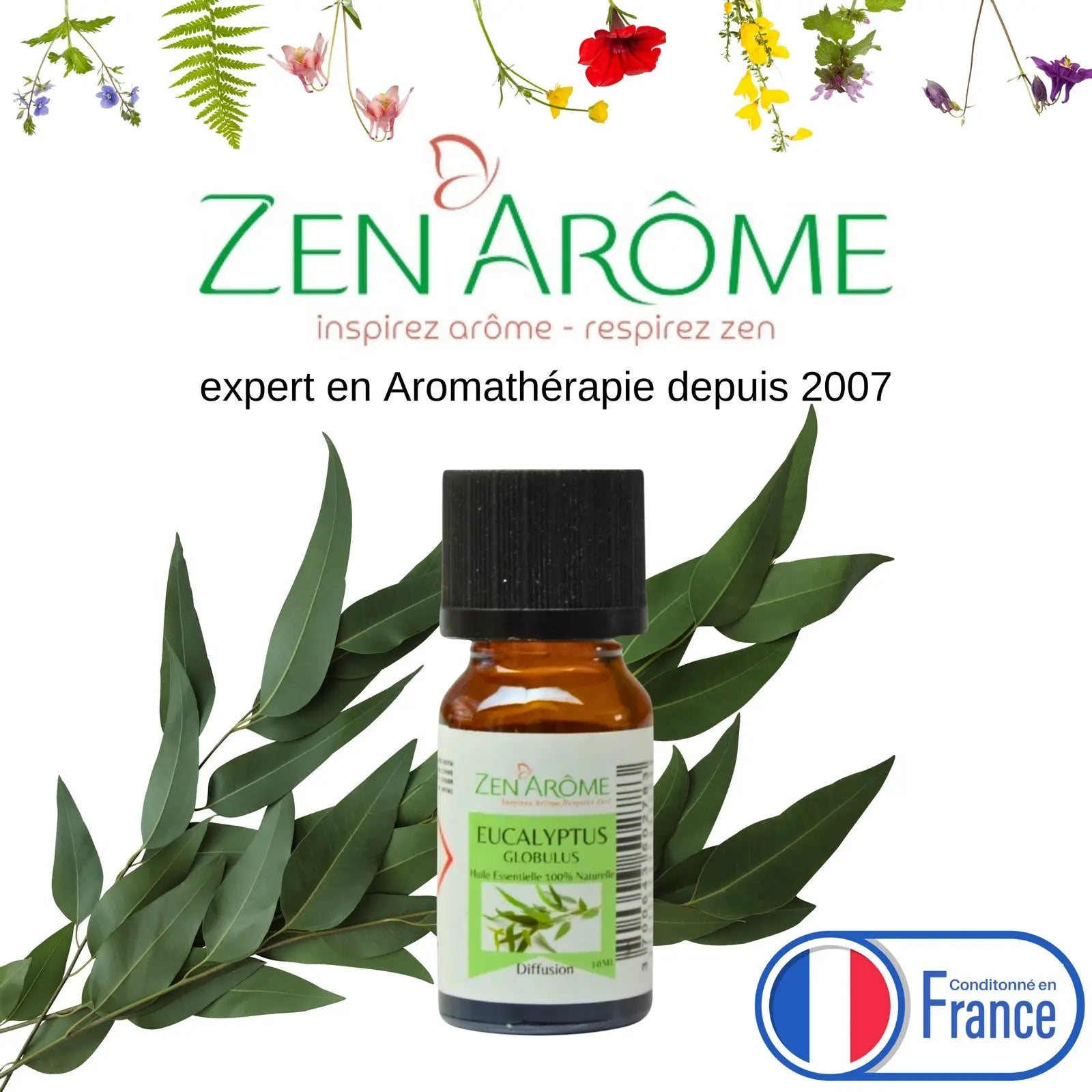 Huiles Essentielles - Eucalyptus - 10 ml - CocoBen's