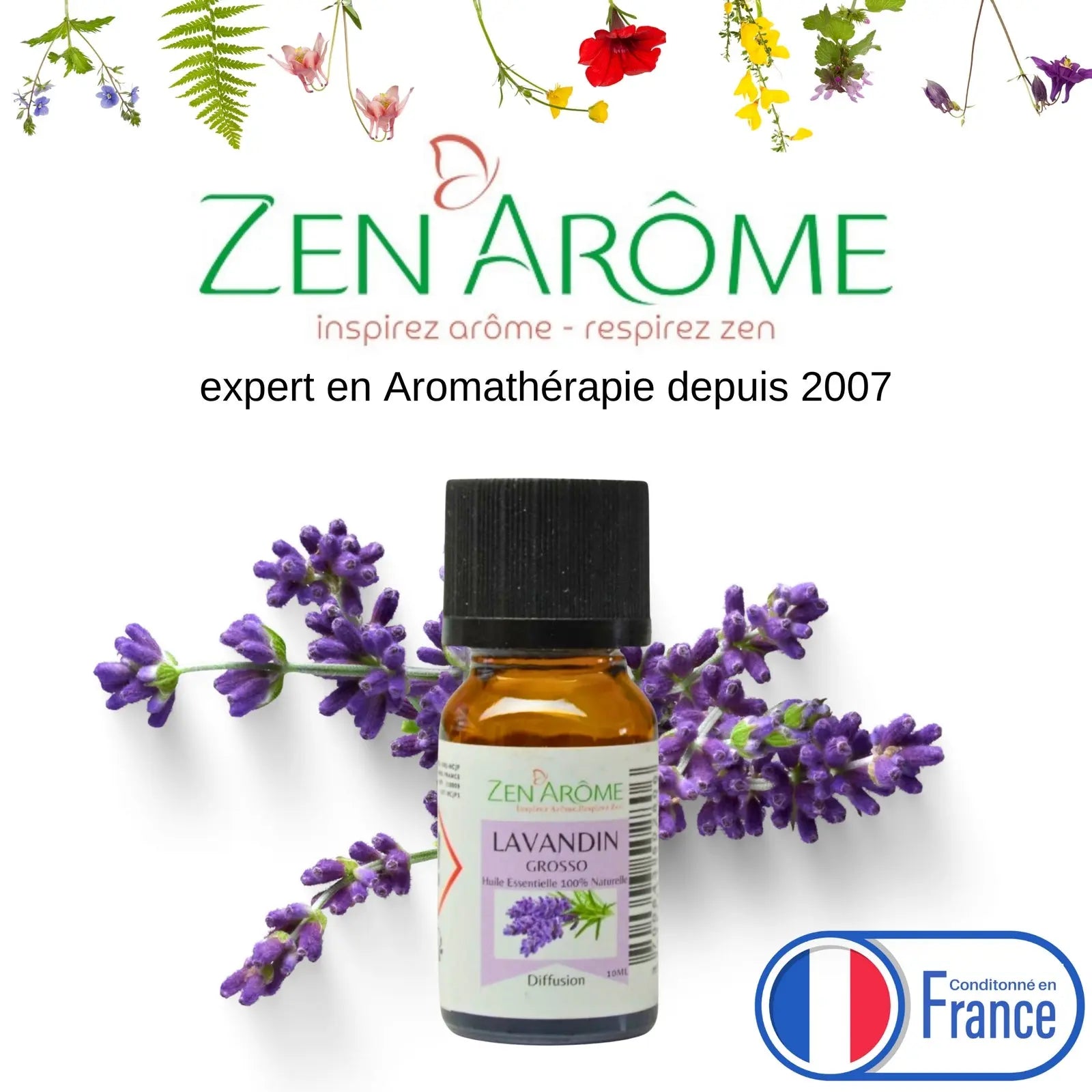Huiles Essentielles - Lavandin Grosso - 10 ml - CocoBen's