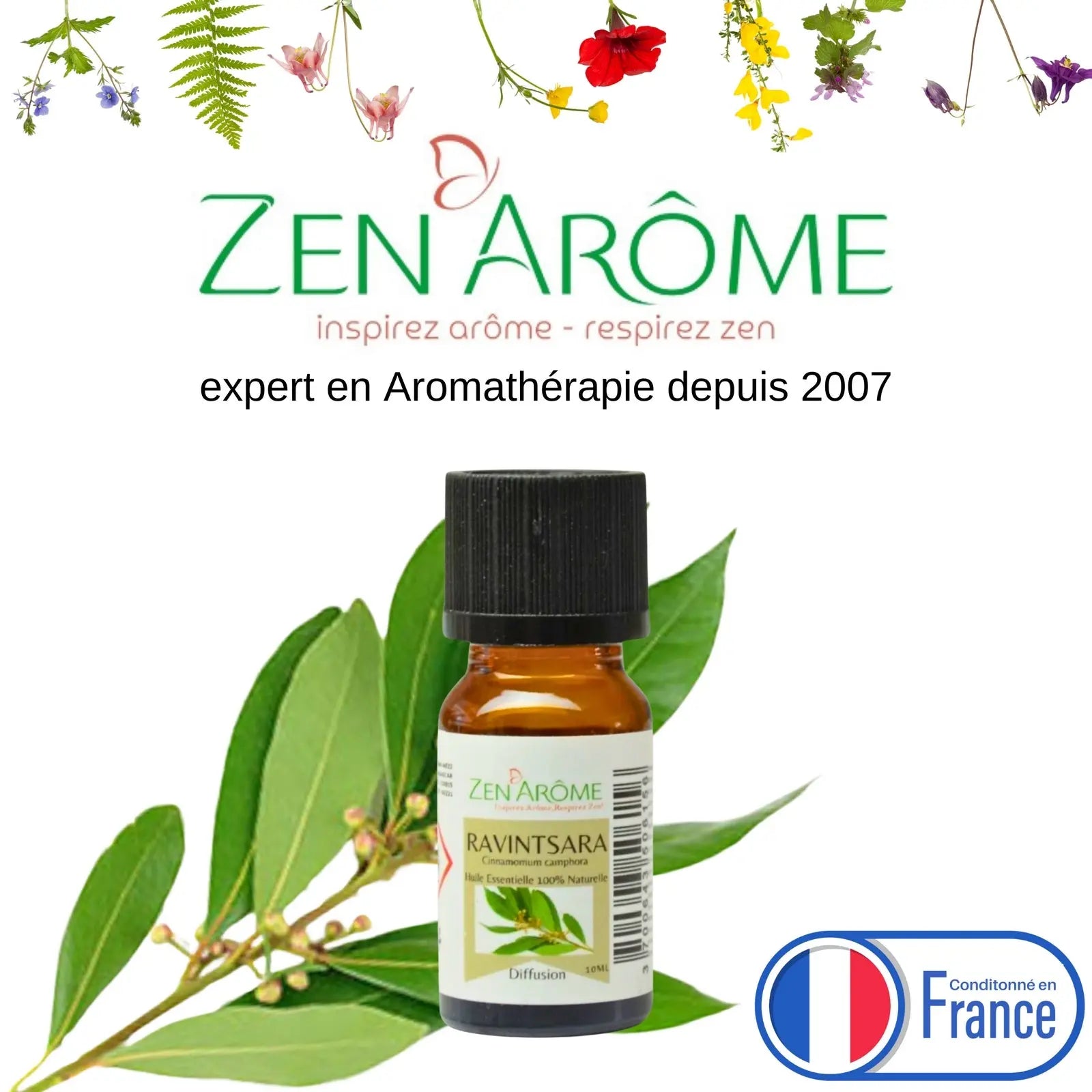 Huiles Essentielles - Ravintsara - 10 ml - CocoBen's